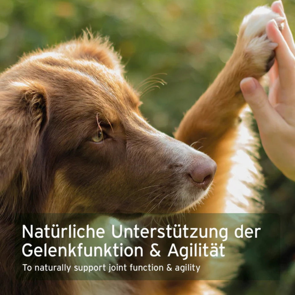 33195ANC – Bild 5