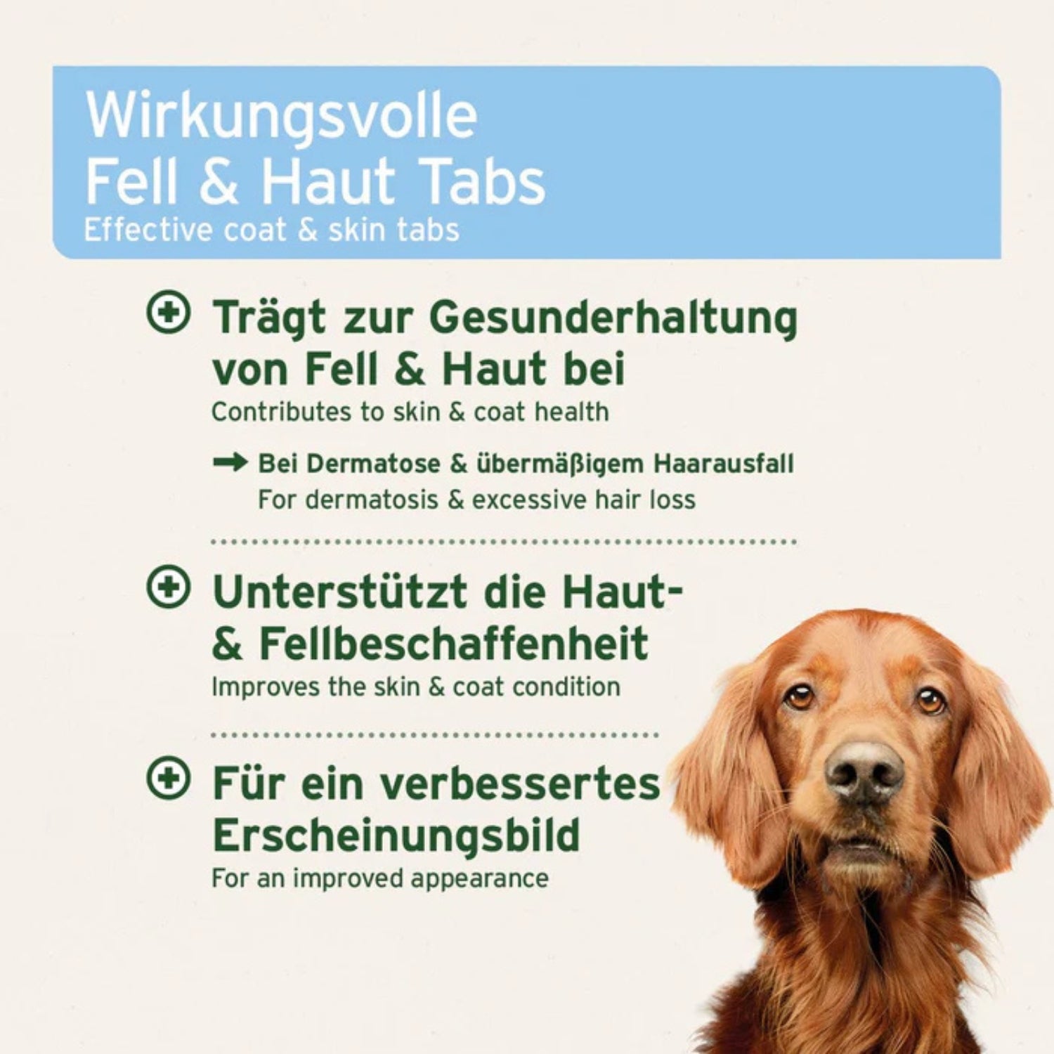 33197AFM – Bild 2