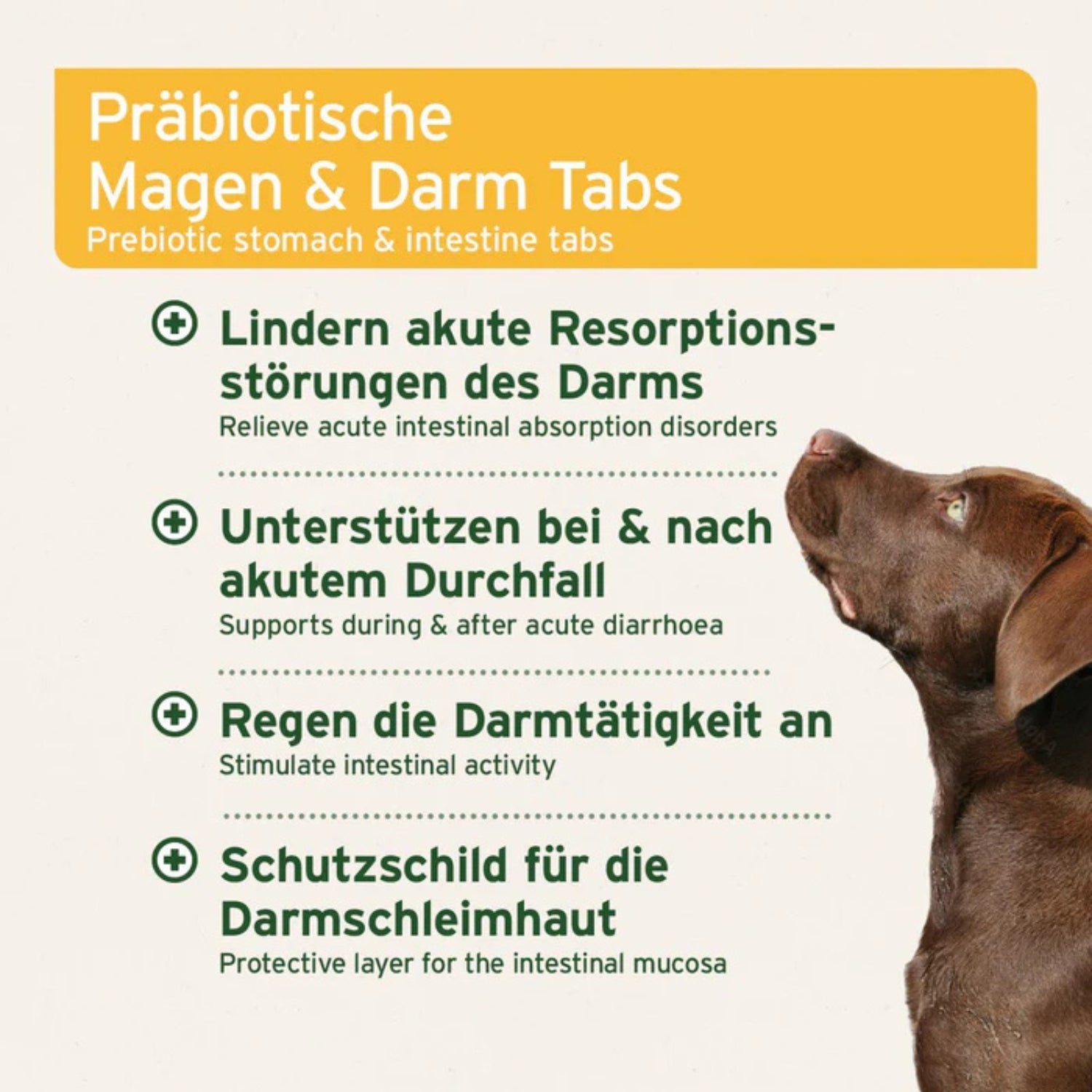 AniForte plus Magen & Darm 90 Tabletten
