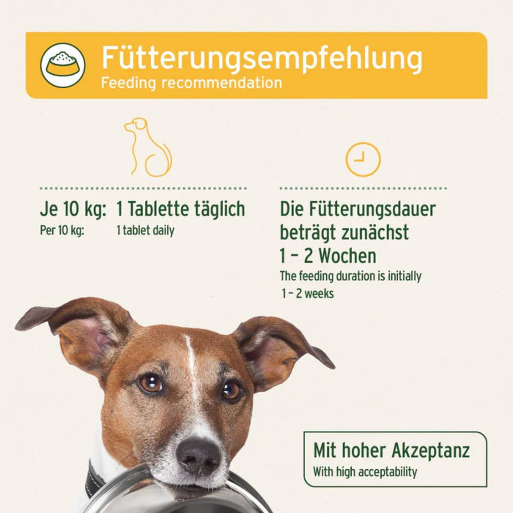 33199AFM – Bild 4