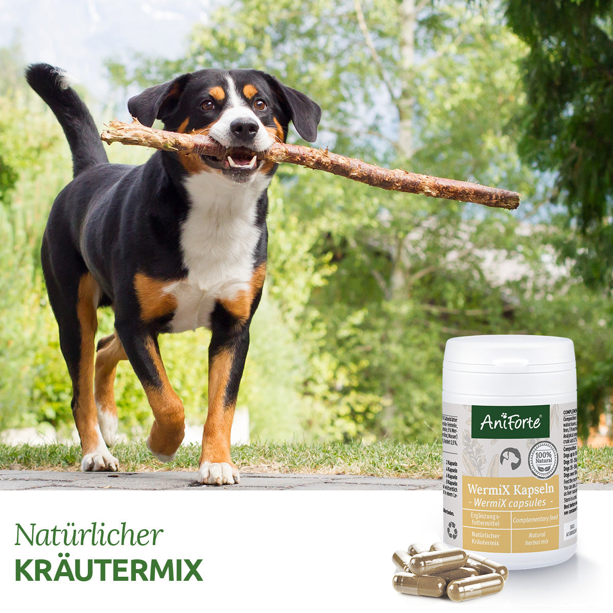 AniForte WermiX Kapseln für Hunde 50 Kapseln