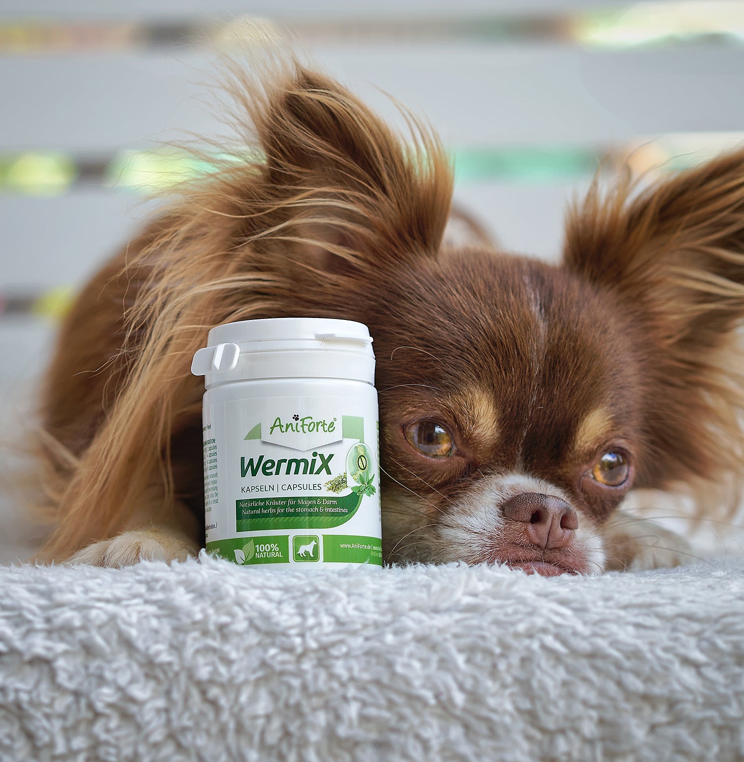AniForte WermiX Kapseln für Hunde 50 Kapseln