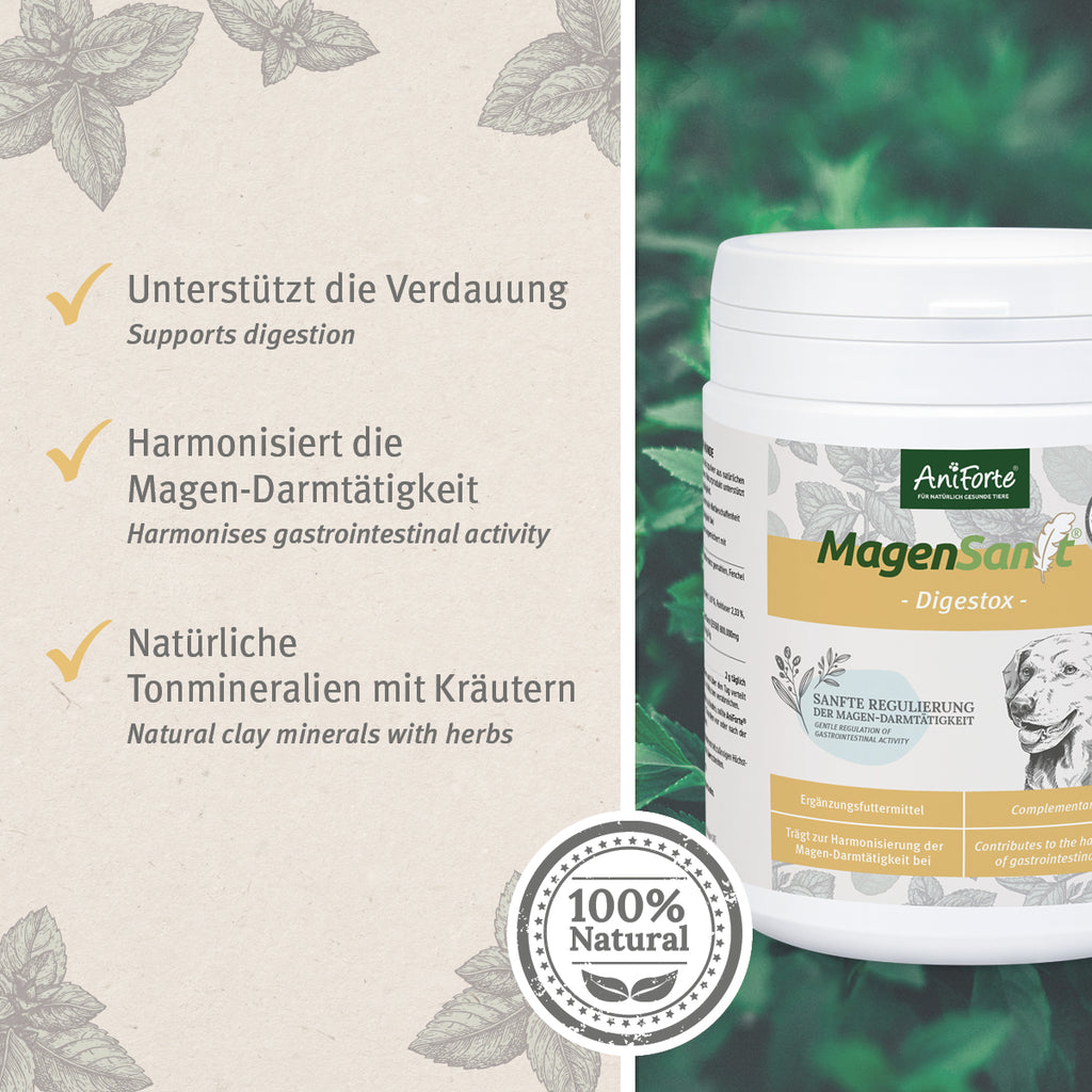 AniForte MagenSanft Pulver 500g