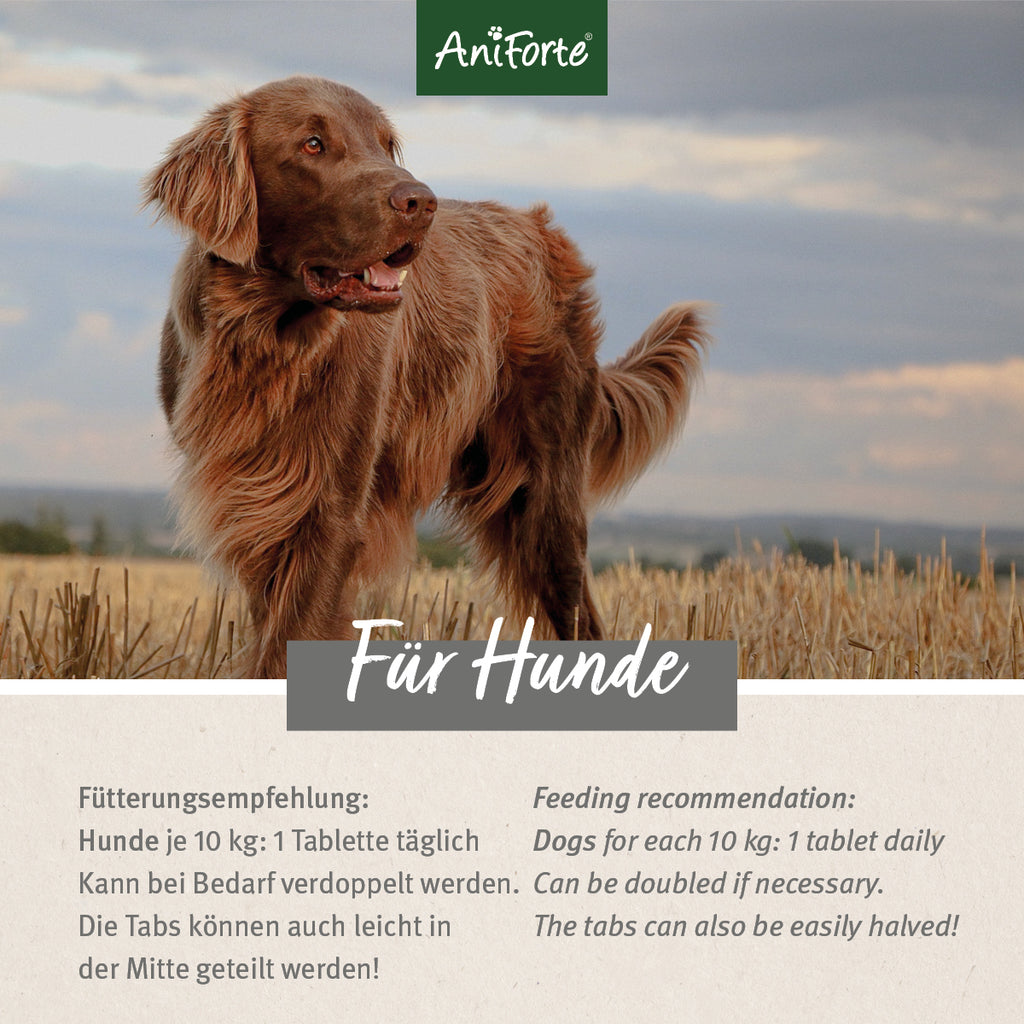 AniForte AgilityVET Gelenktabletten 120 Tabletten