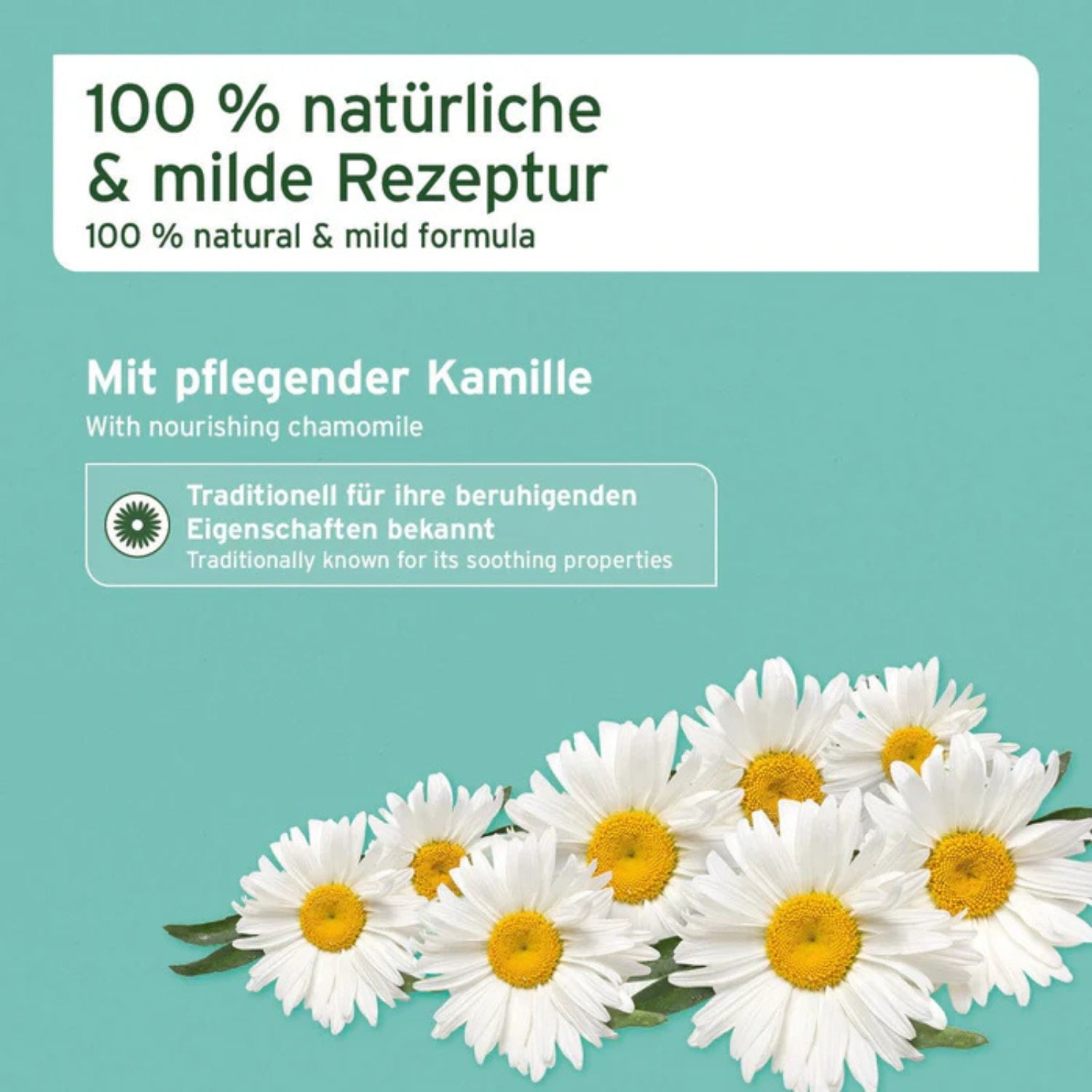 33206AFO – Bild 1