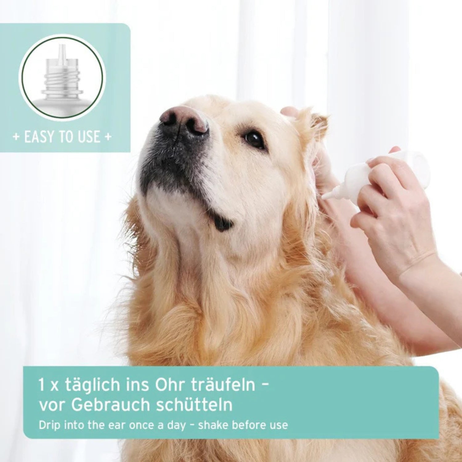 33206AFO – Bild 2