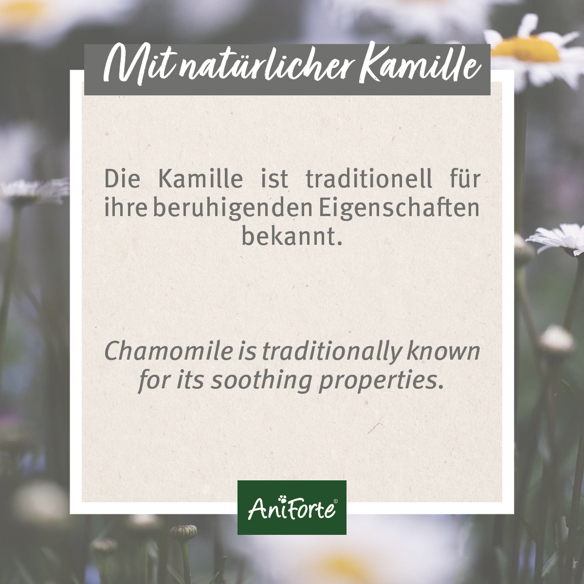 33206AFO – Bild 3