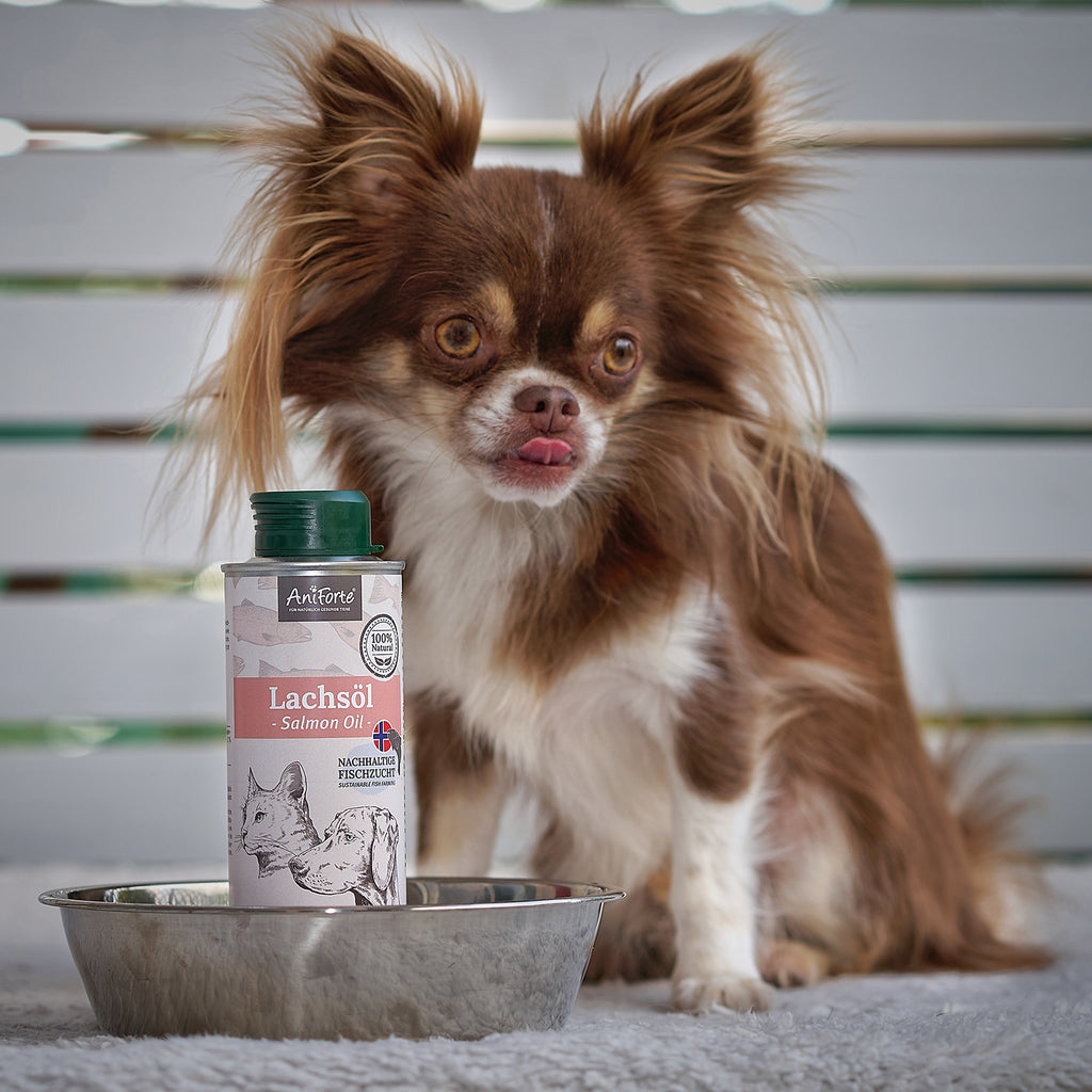 AniForte Lachsöl 250ml