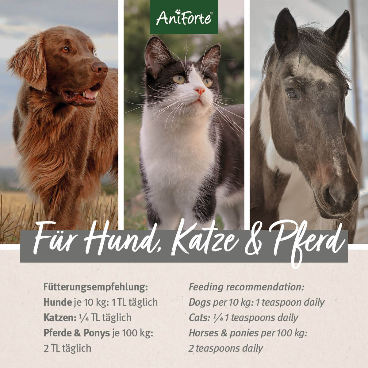 AniForte Lachsöl 500ml