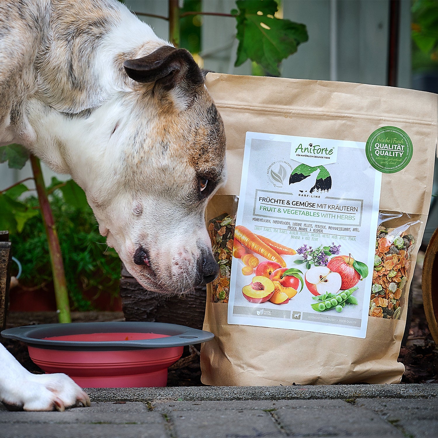 Aniforte BARF-Line Früchte & Gemüse mit Kräutern 1000g