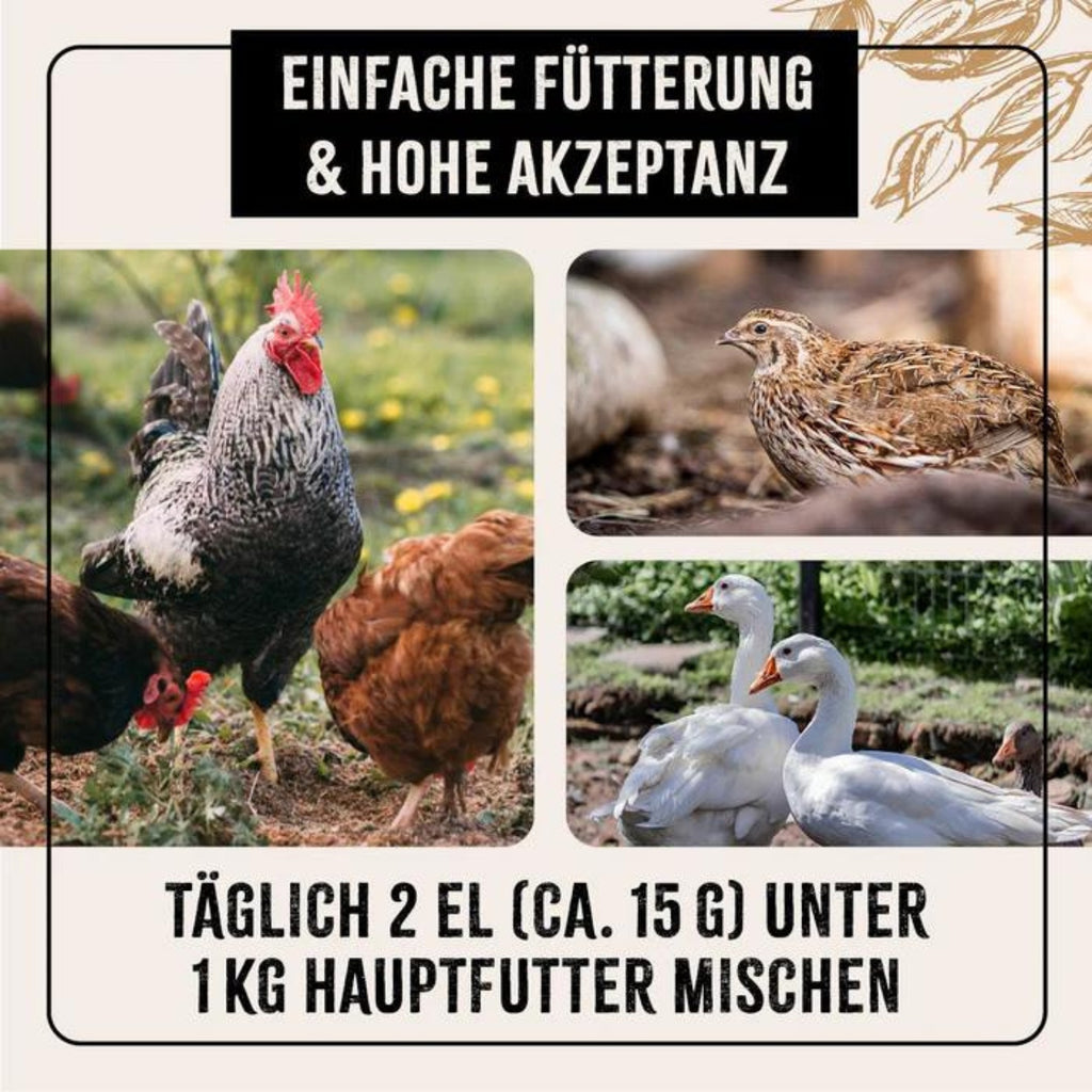 AniForte Hühnertraum für Hühner 2500g