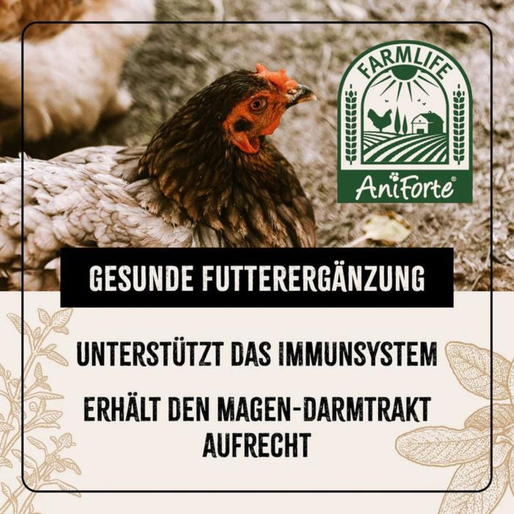 AniForte Hühner Wohlfühlkräuter 500g