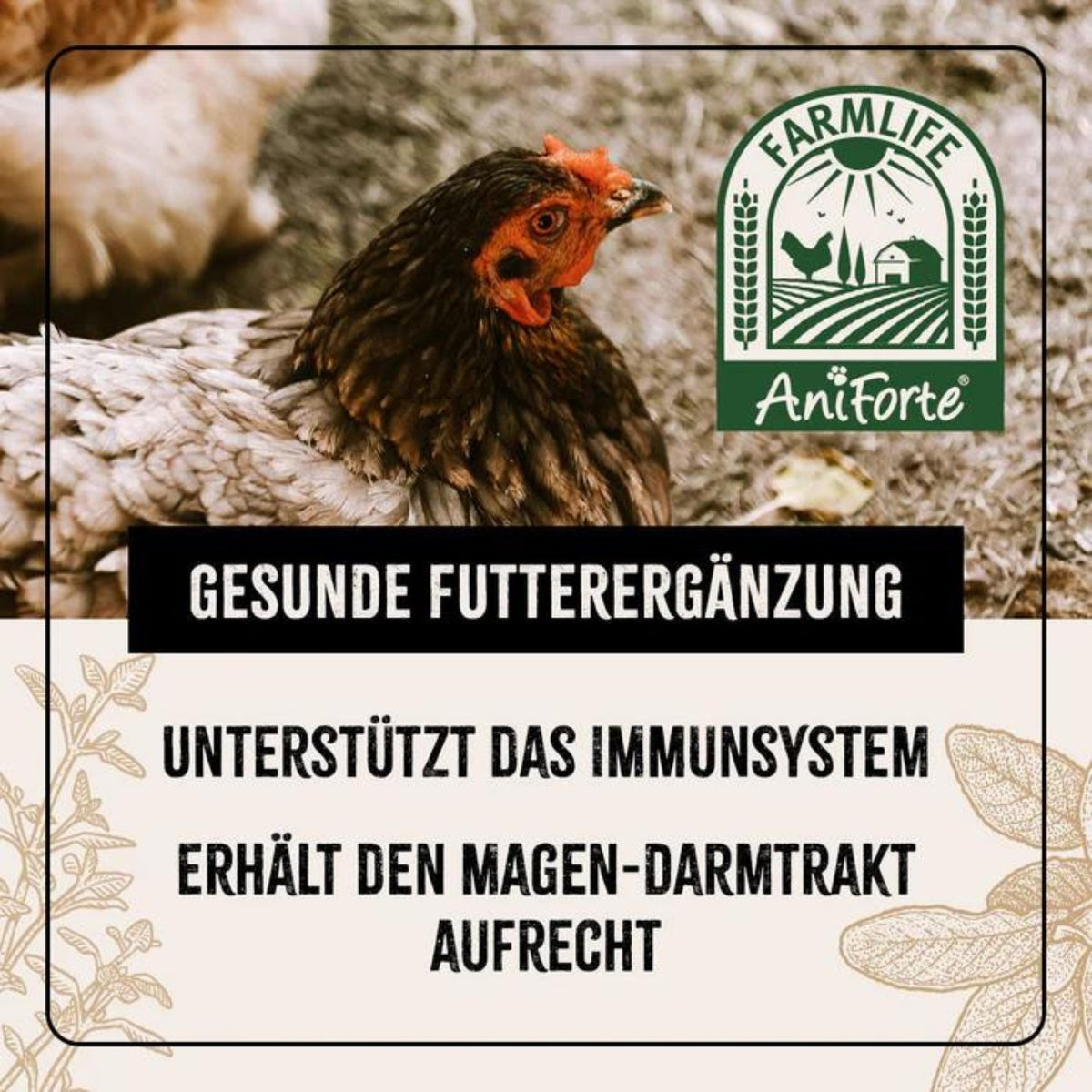 AniForte Hühner Wohlfühlkräuter 500g
