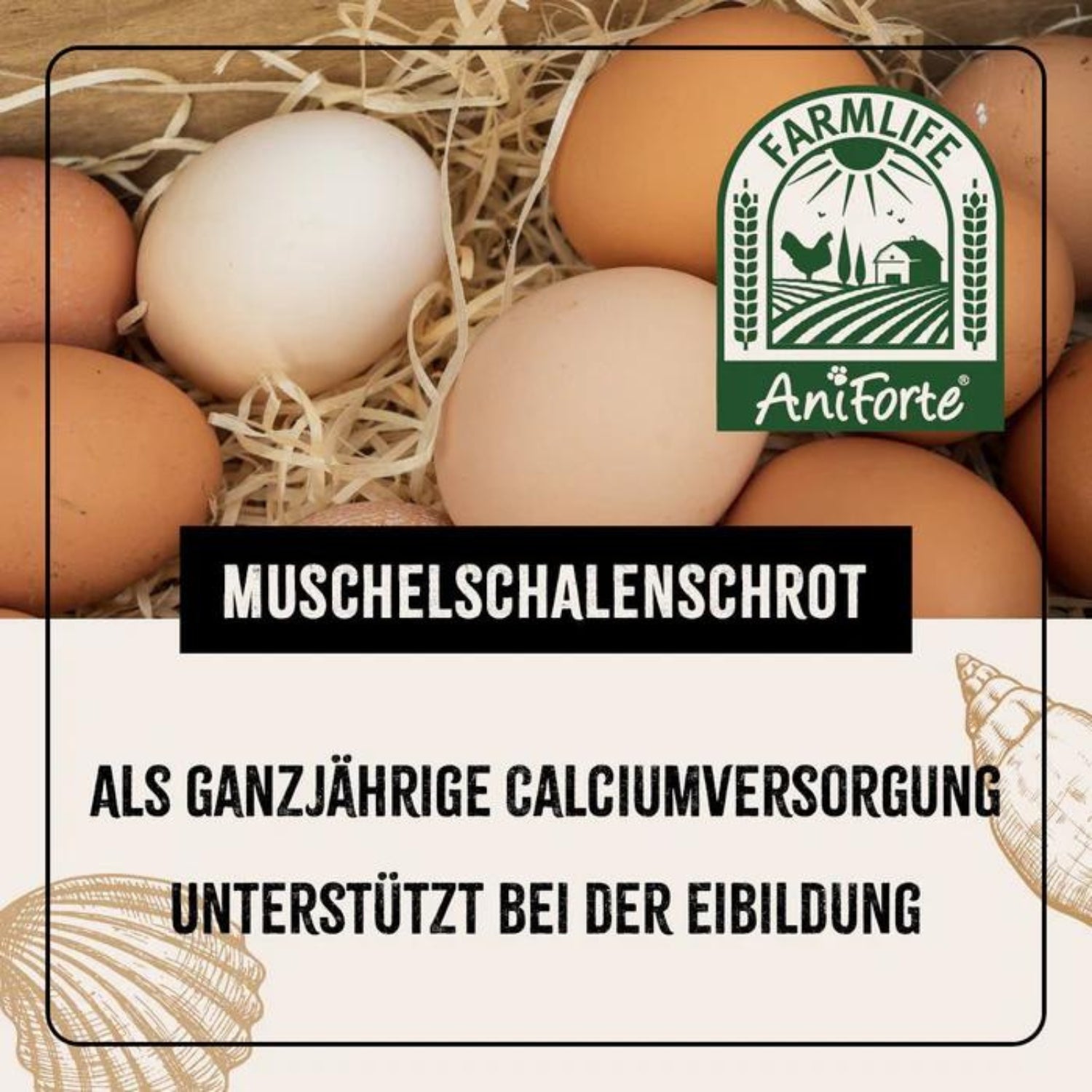 AniForte Farmlife Muschelgrit für Hühner 5000g