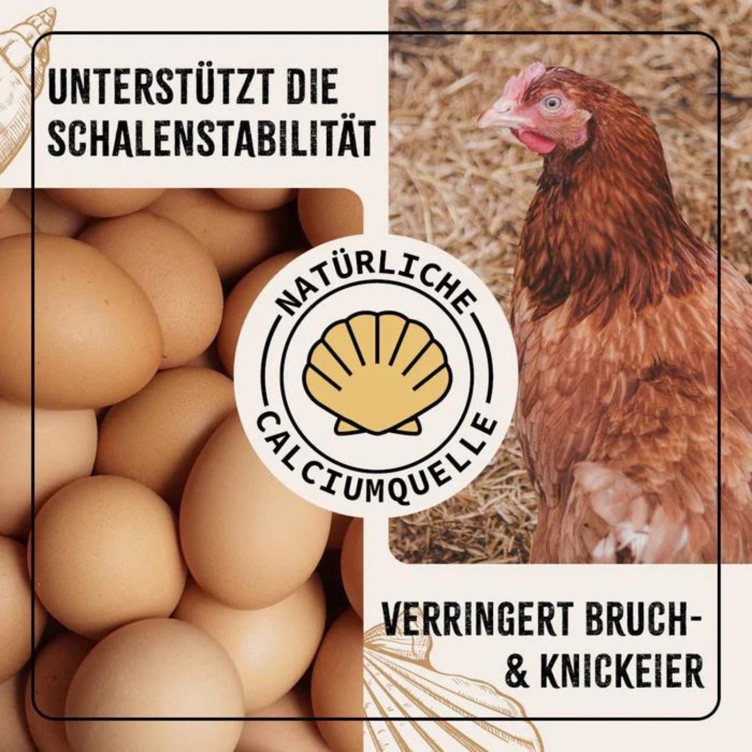 33295AFM – Bild 3