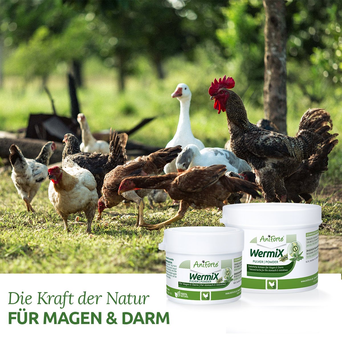 AniForte WermiX für Hühner & Co 50g