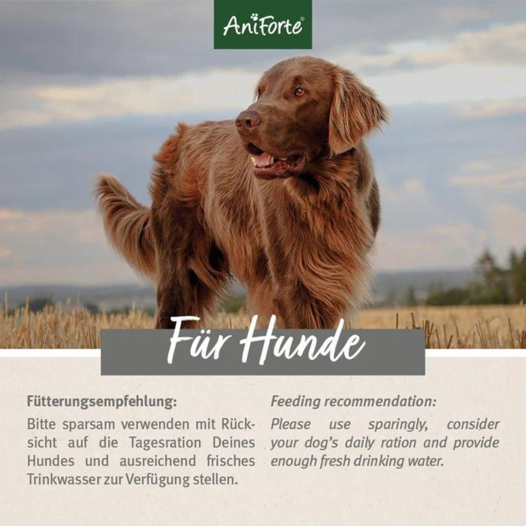 AniForte Dog Snacks Insekten 150g