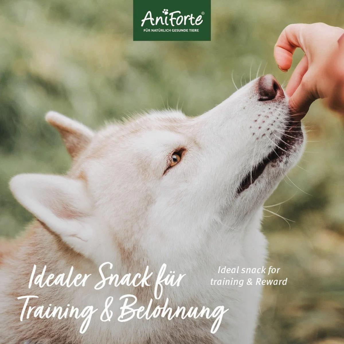 AniForte Dog Snacks Obst & Gemüse 150g