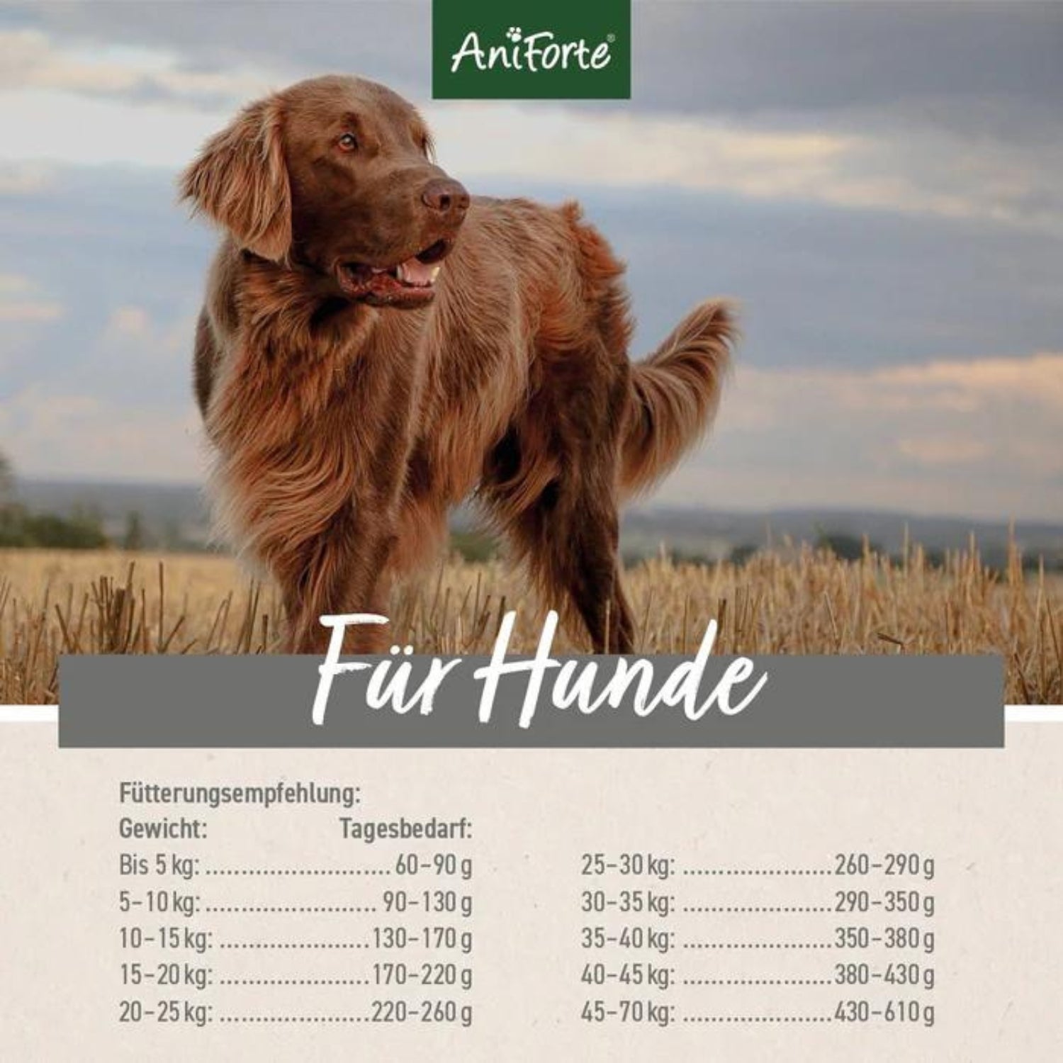 AniForte Trockenfutter CountryBeef für Hunde 2kg