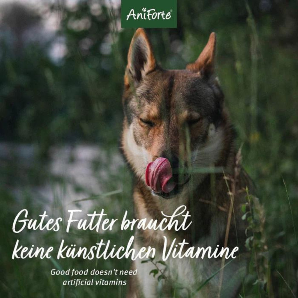 AniForte Trockenfutter CountryBeef für Hunde 2kg