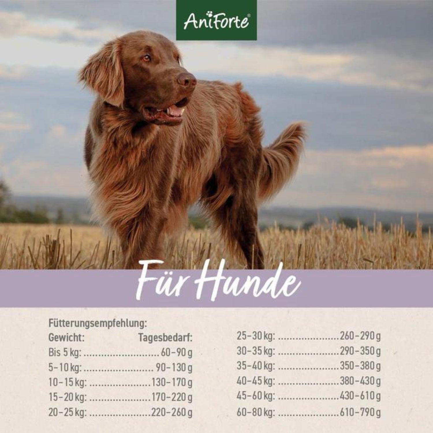 AniForte Trockenfutter FarmsLamb für Hunde 2kg