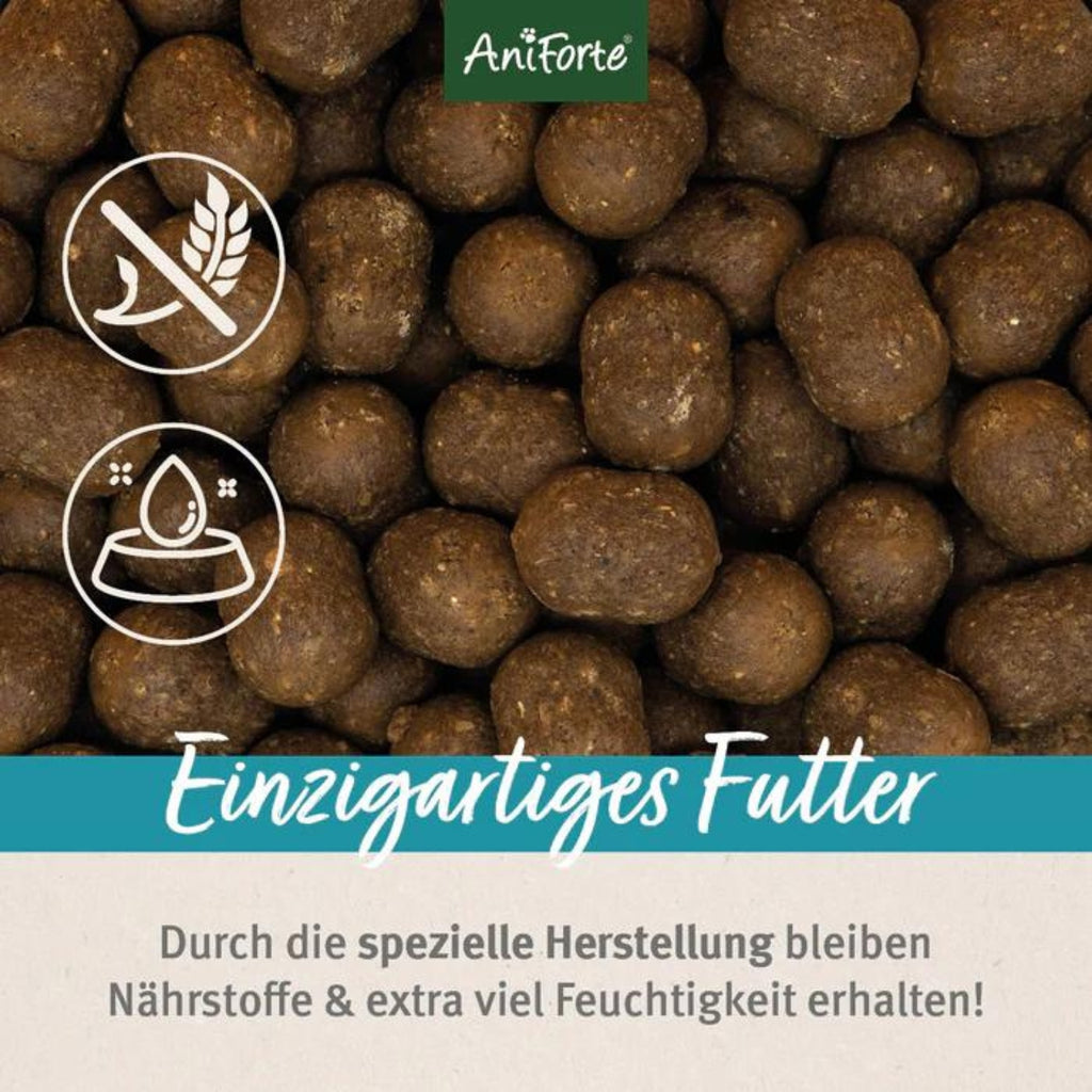 AniForte Trockenfutter FjordSalmon- frischer Lachs mit Kartoffeln für Hunde 12,5kg