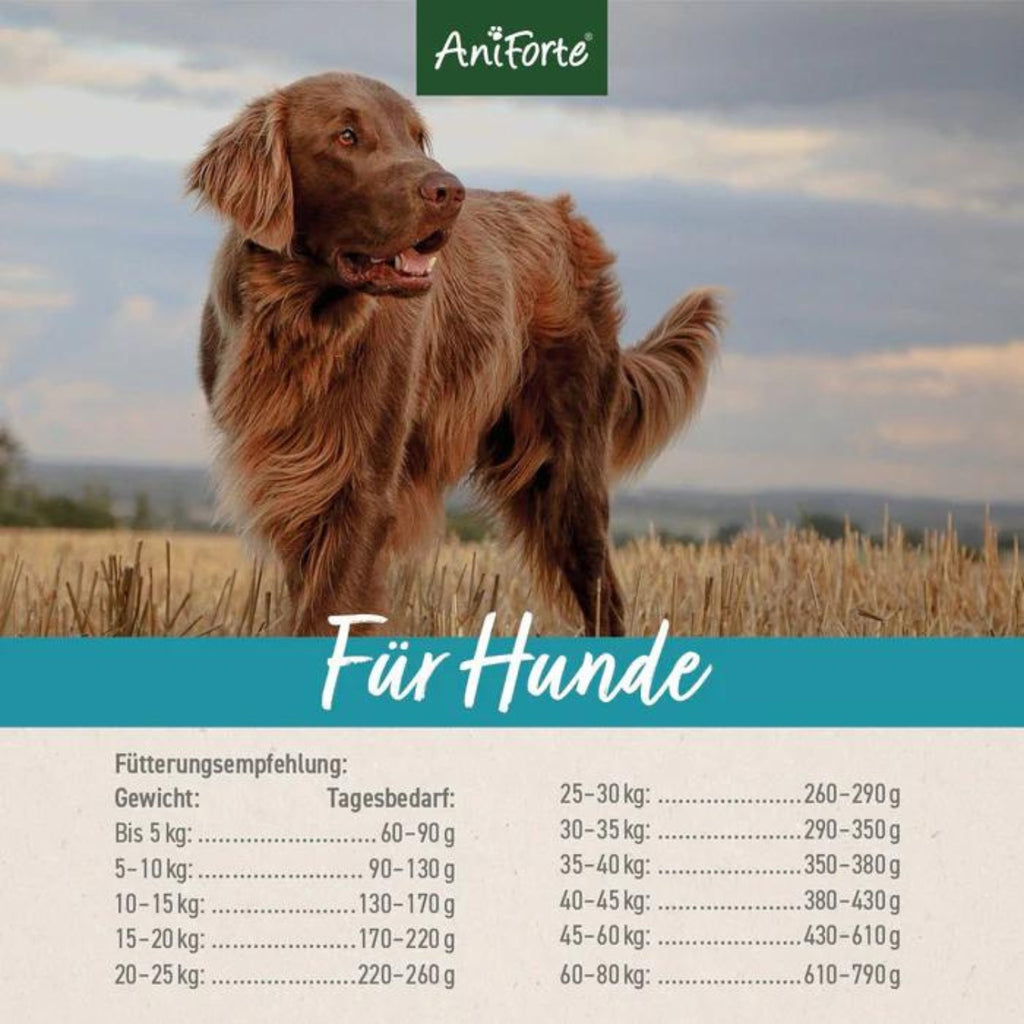 AniForte Trockenfutter FjordSalmon- frischer Lachs mit Kartoffeln für Hunde 12,5kg MHD 30.09.2026
