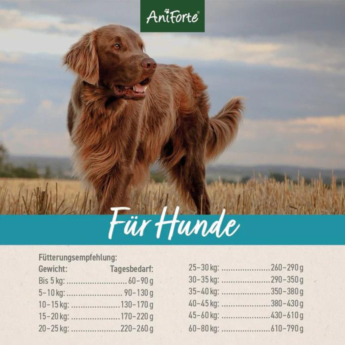 AniForte Trockenfutter FjordSalmon- frischer Lachs mit Kartoffeln für Hunde 12,5kg MHD 30.09.2026
