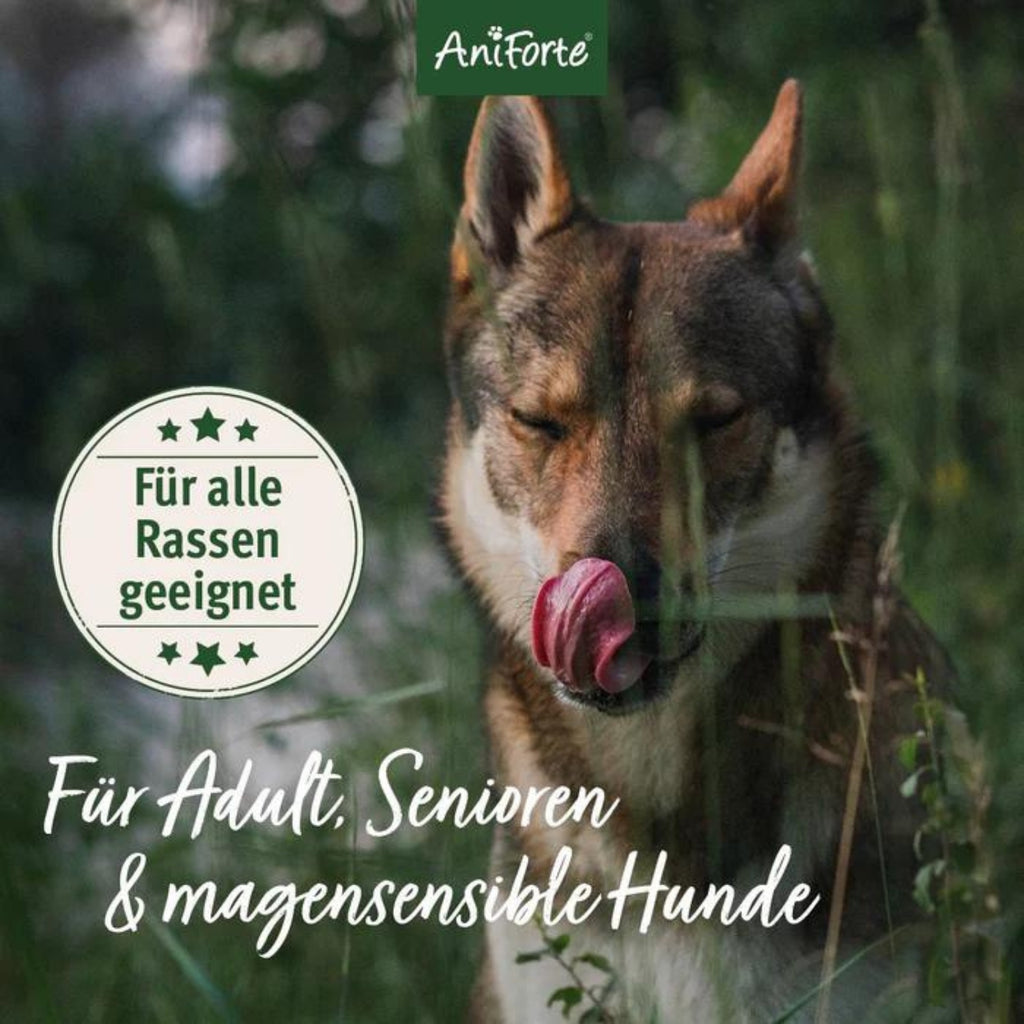 AniForte Trockenfutter LandChicken für Hunde 2kg MHD 30.08.2026