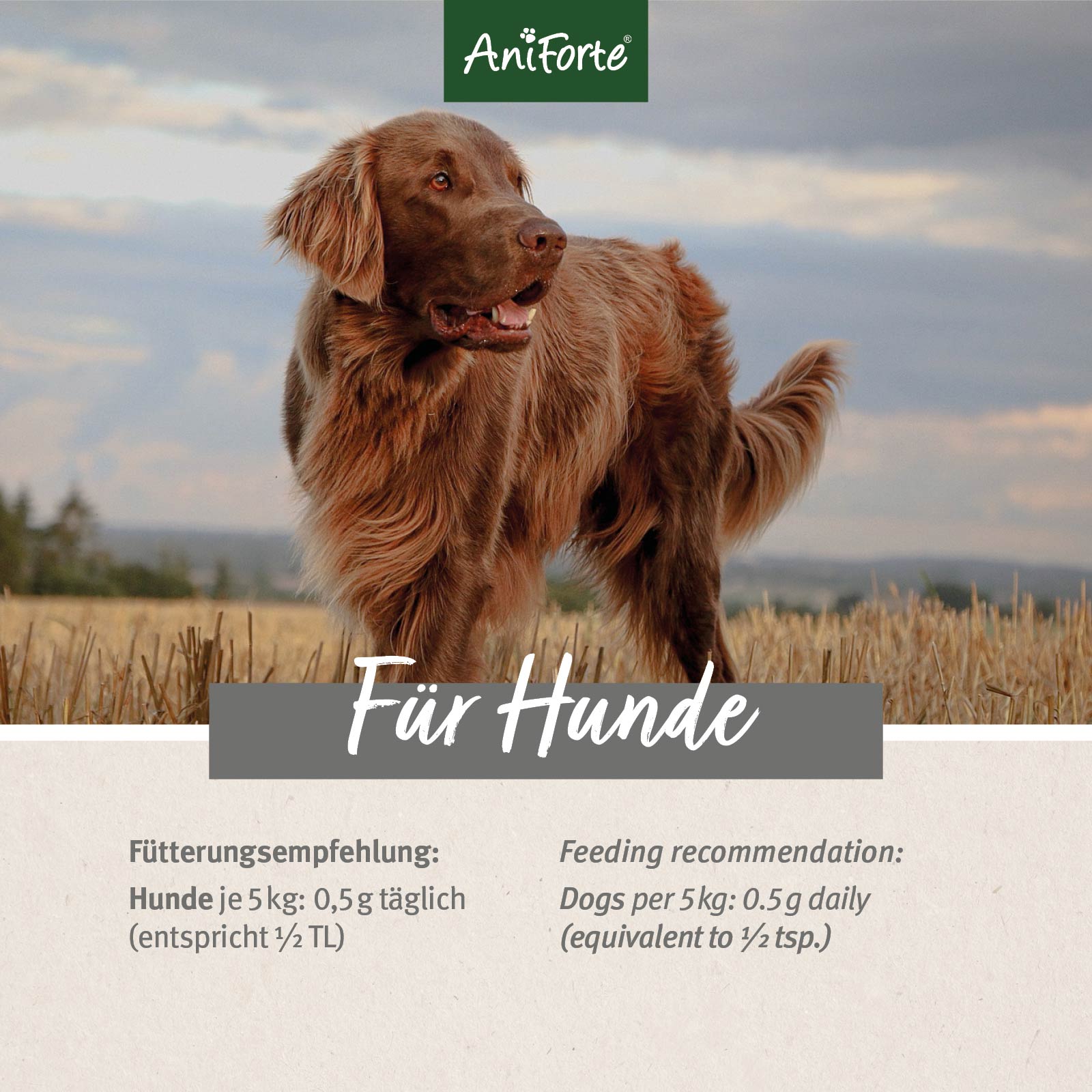 33324AFL – Bild 3