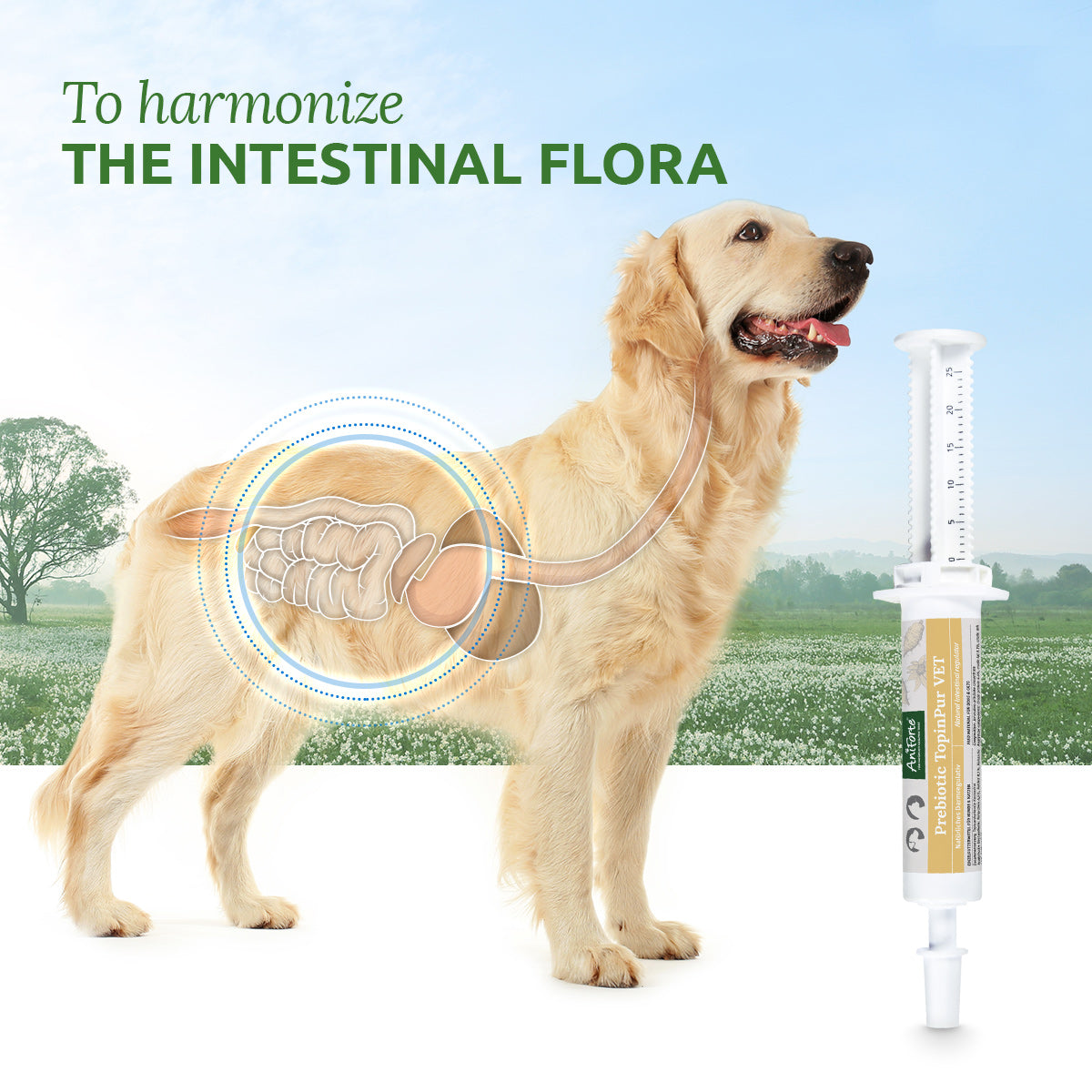 AniForte Prebiotic TopinPur VET für Hunde und Katzen 30ml