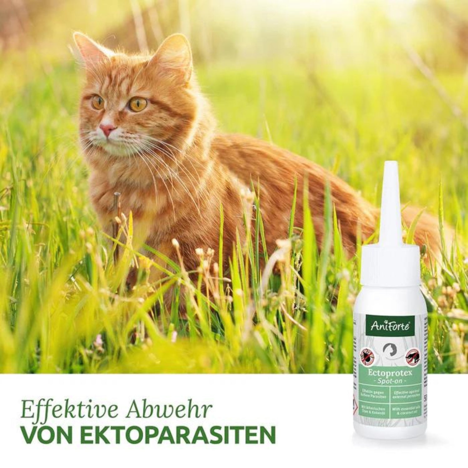 33330AFE – Bild 1