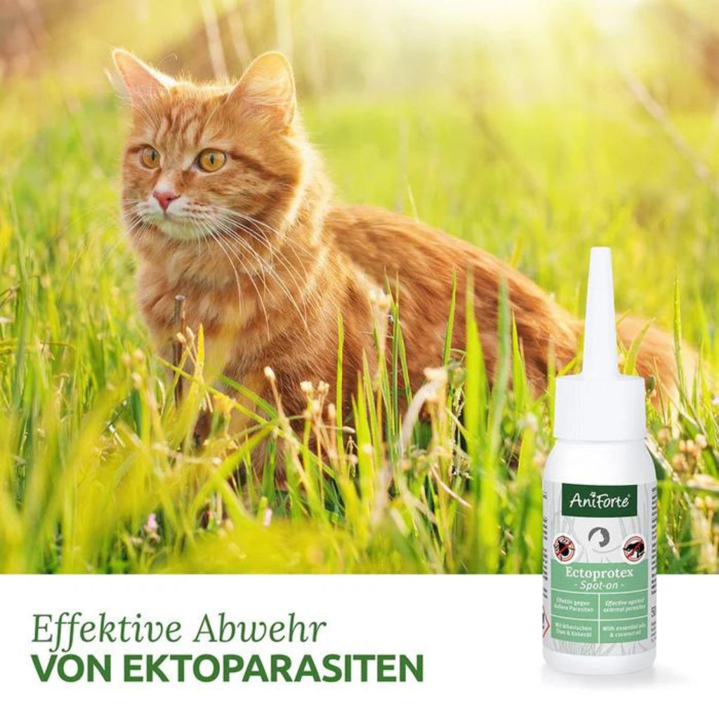 AniForte Ectoprotex Spot-on für Katzen 50ml