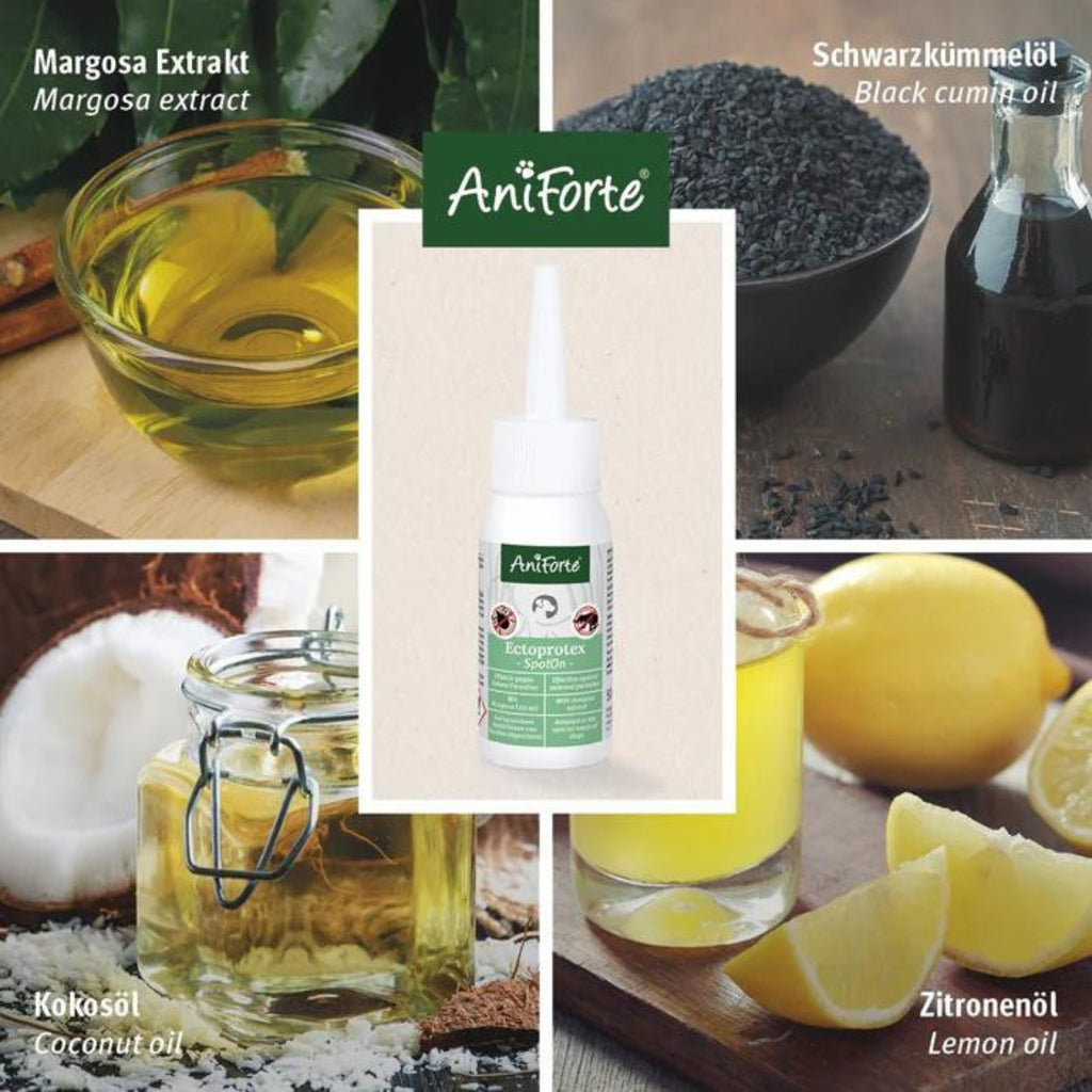 AniForte Ectoprotex Spot-on für Hunde 50ml