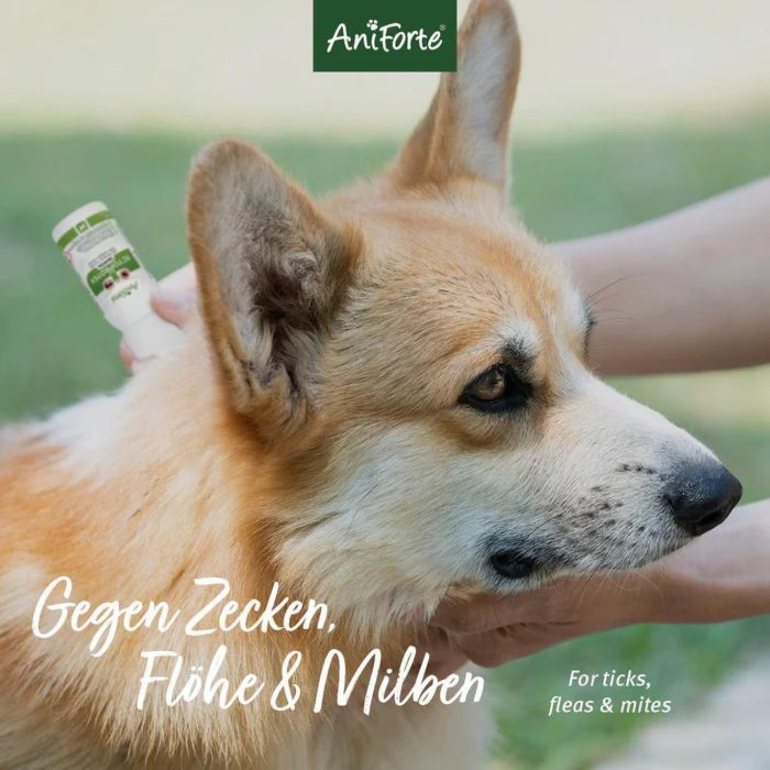 AniForte Ectoprotex Spot-on für Hunde 50ml