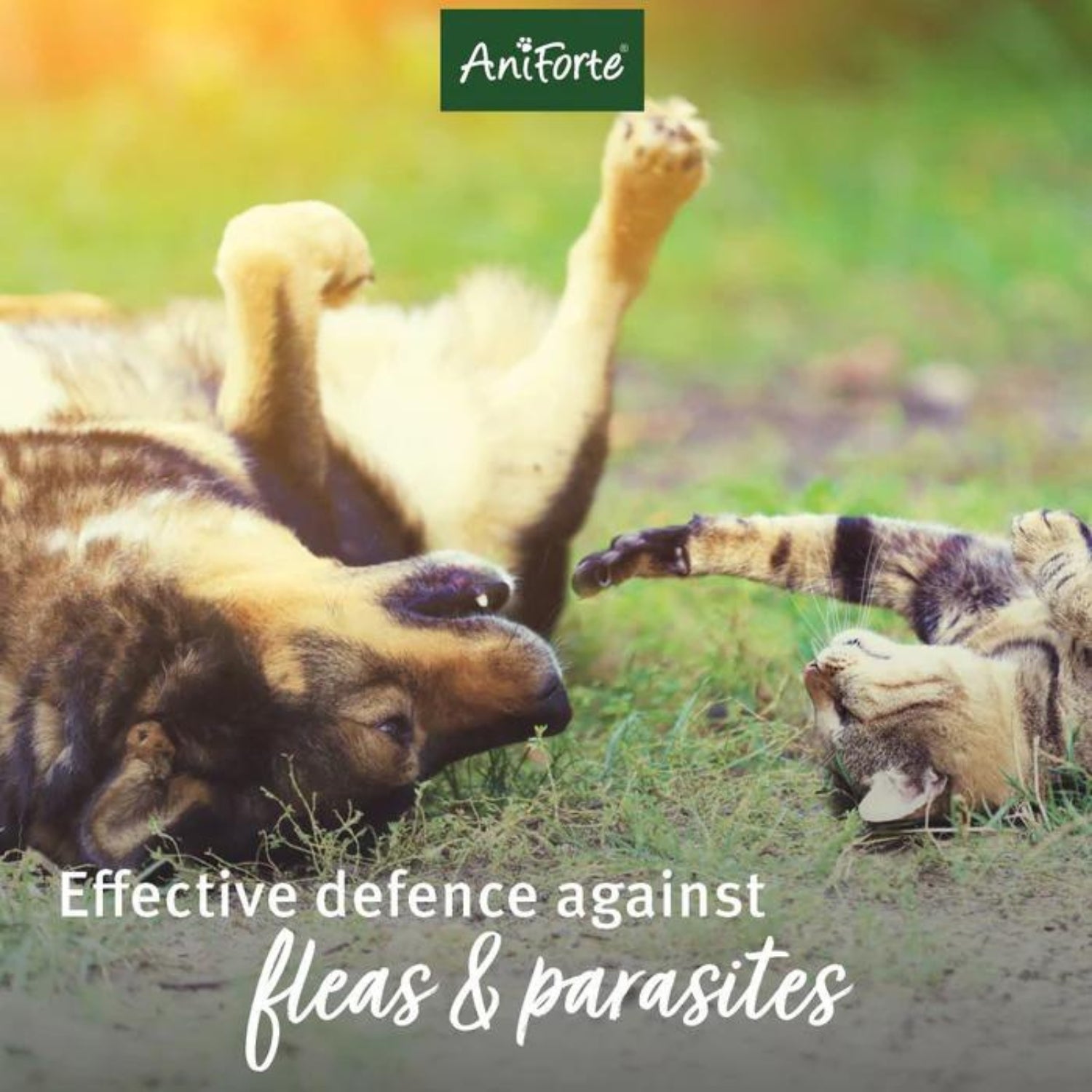 AniForte Floh-EX Spray 250ml