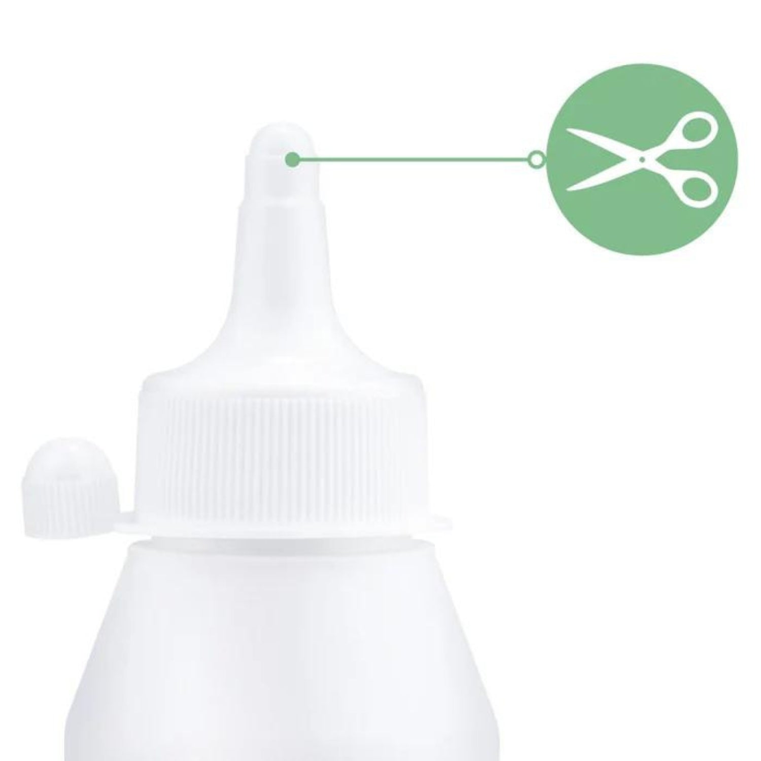 AniForte Kieselgur Pulver 50g