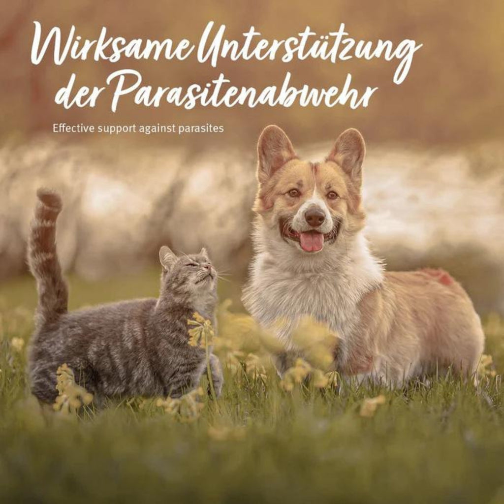 33333AFF-K1 – Bild 2