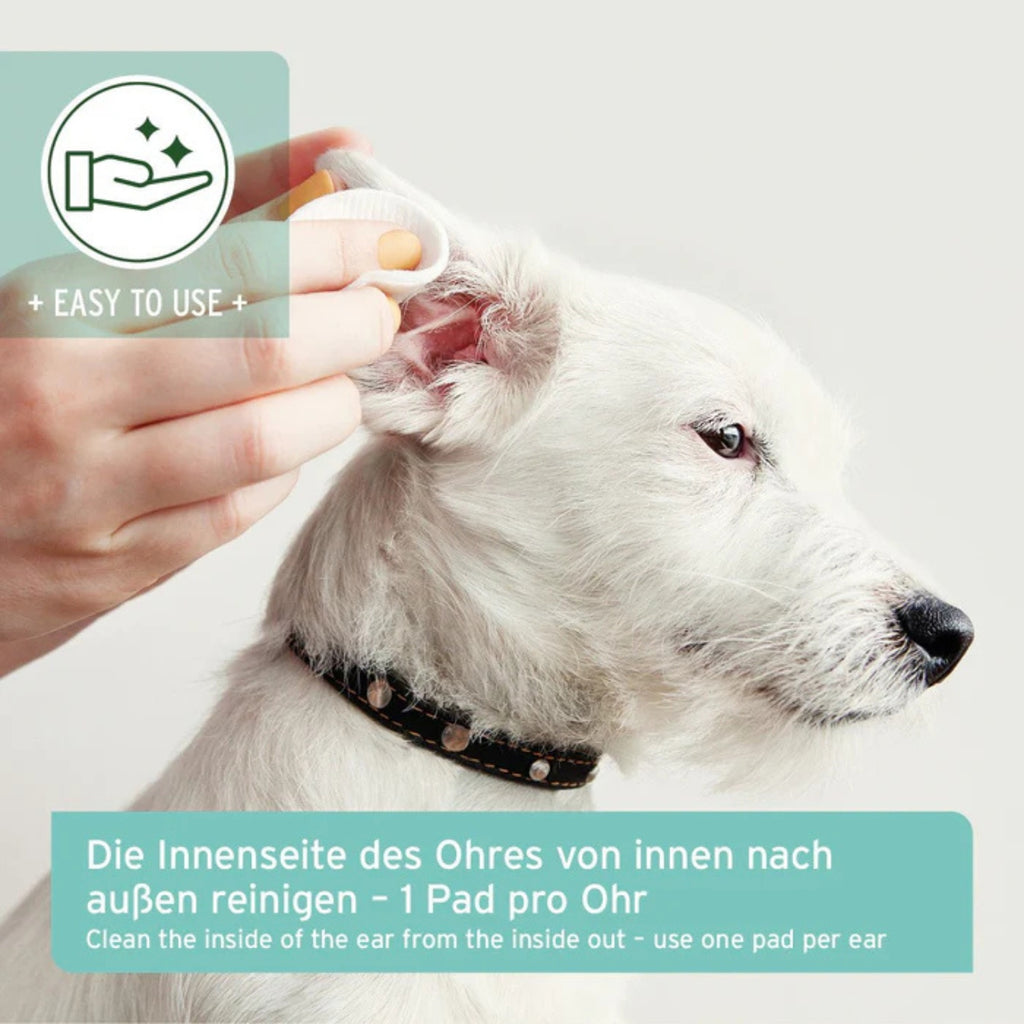 33337AFO – Bild 2