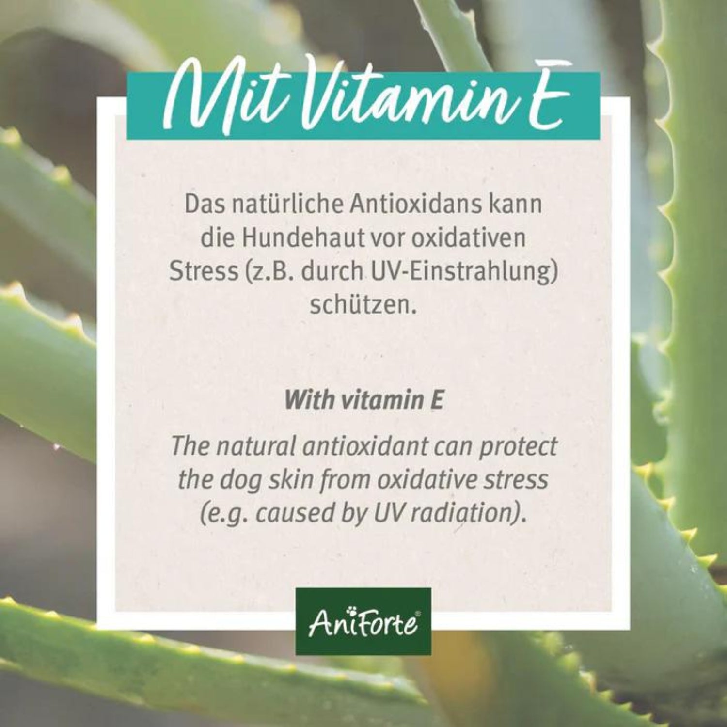 AniForte Ohren-Reinigungspads 100 Stück