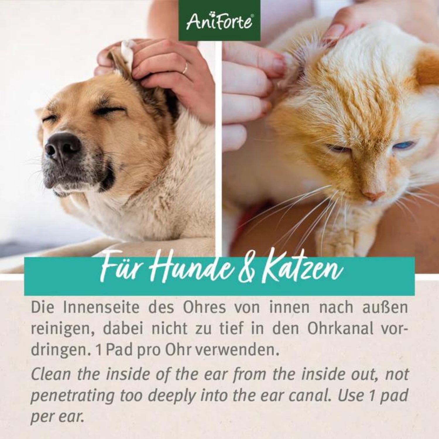 AniForte Ohren-Reinigungspads 100 Stück
