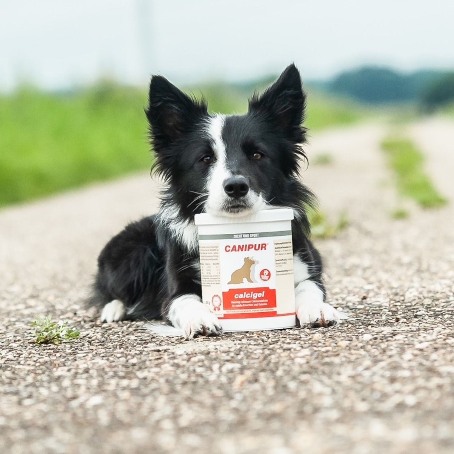 Canipur calcigel 500g