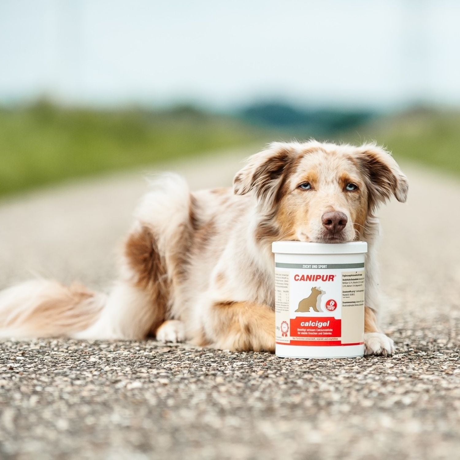 Canipur calcigel 1000g