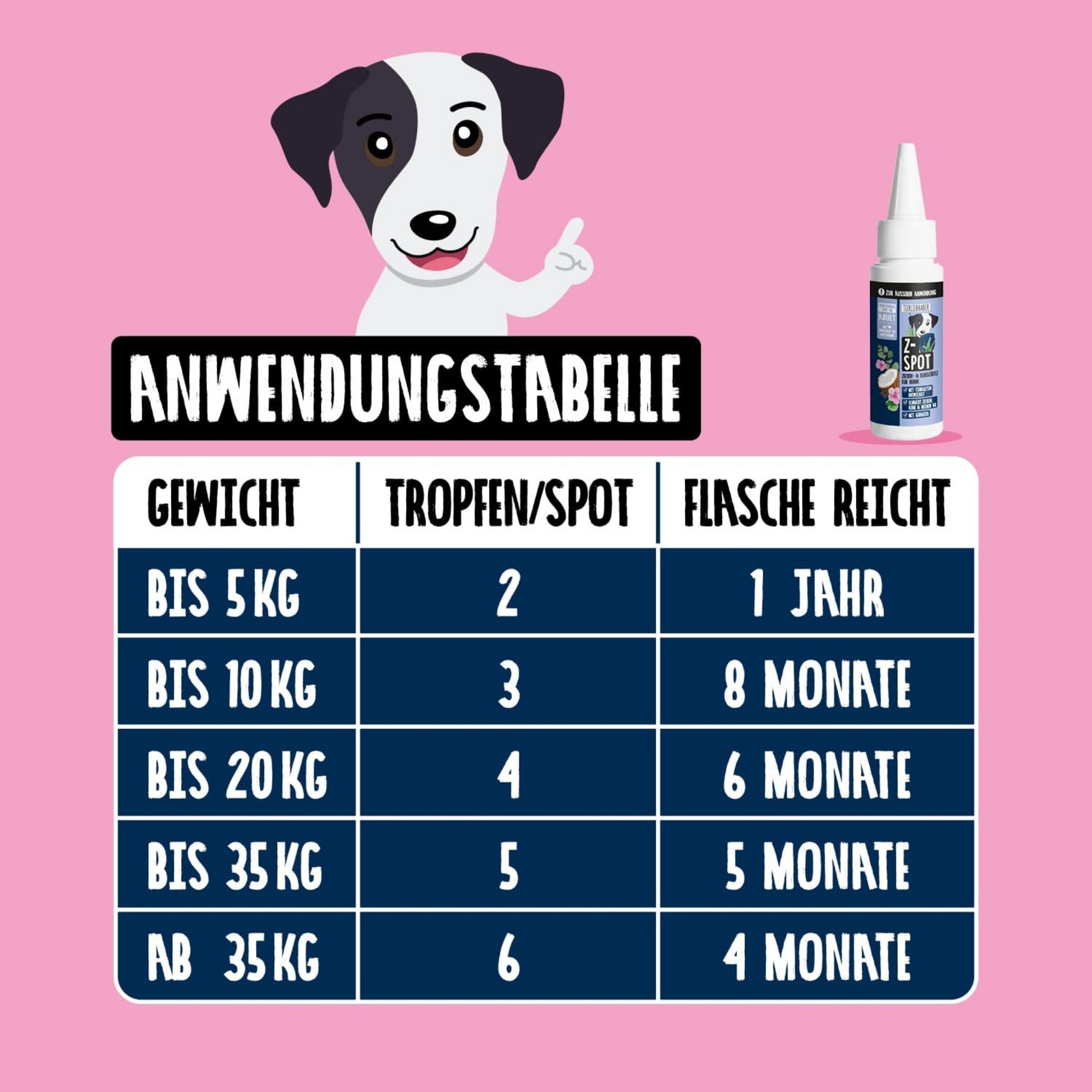 33462TLZ – Bild 2