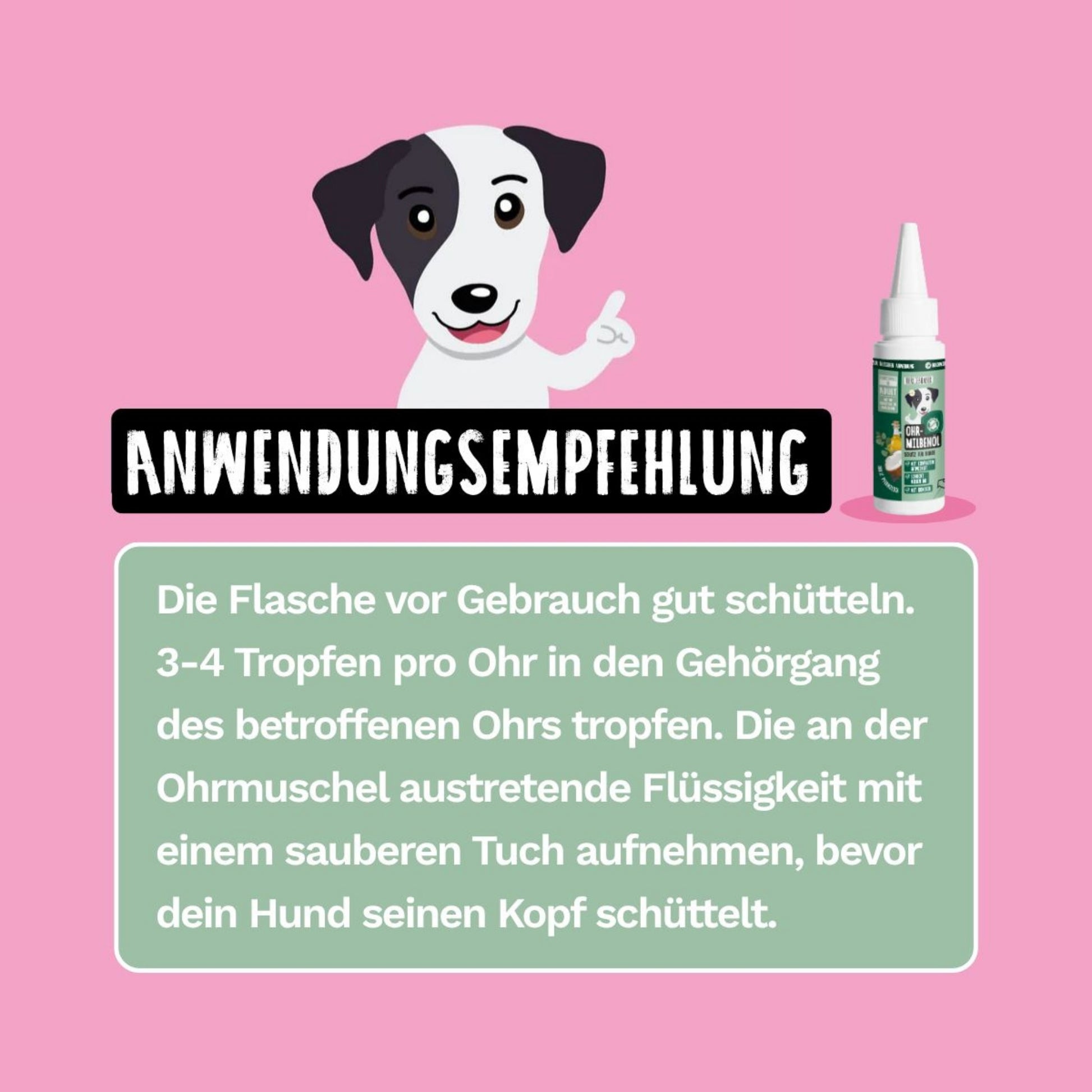 33466TLO – Bild 2