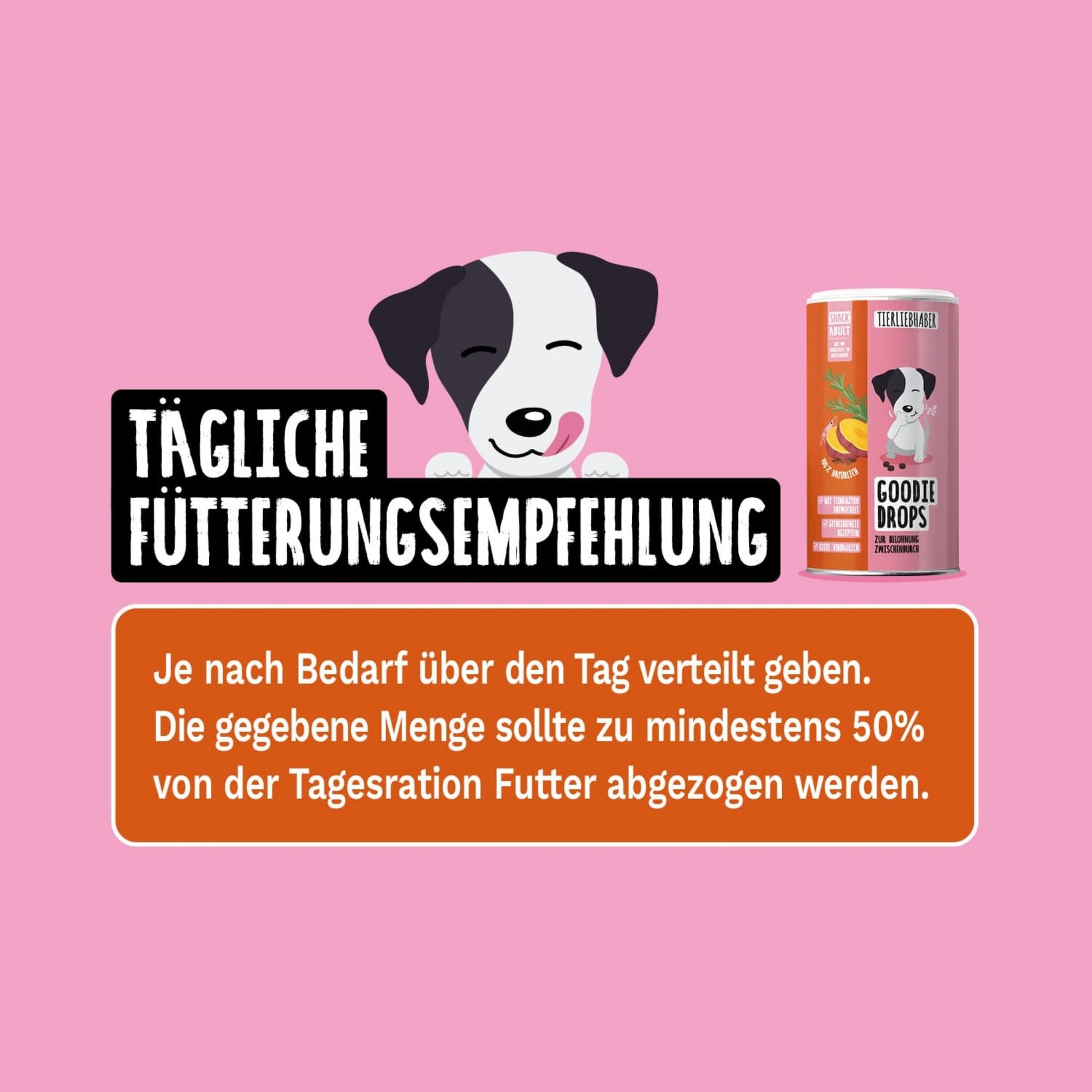 33470TLG – Bild 3
