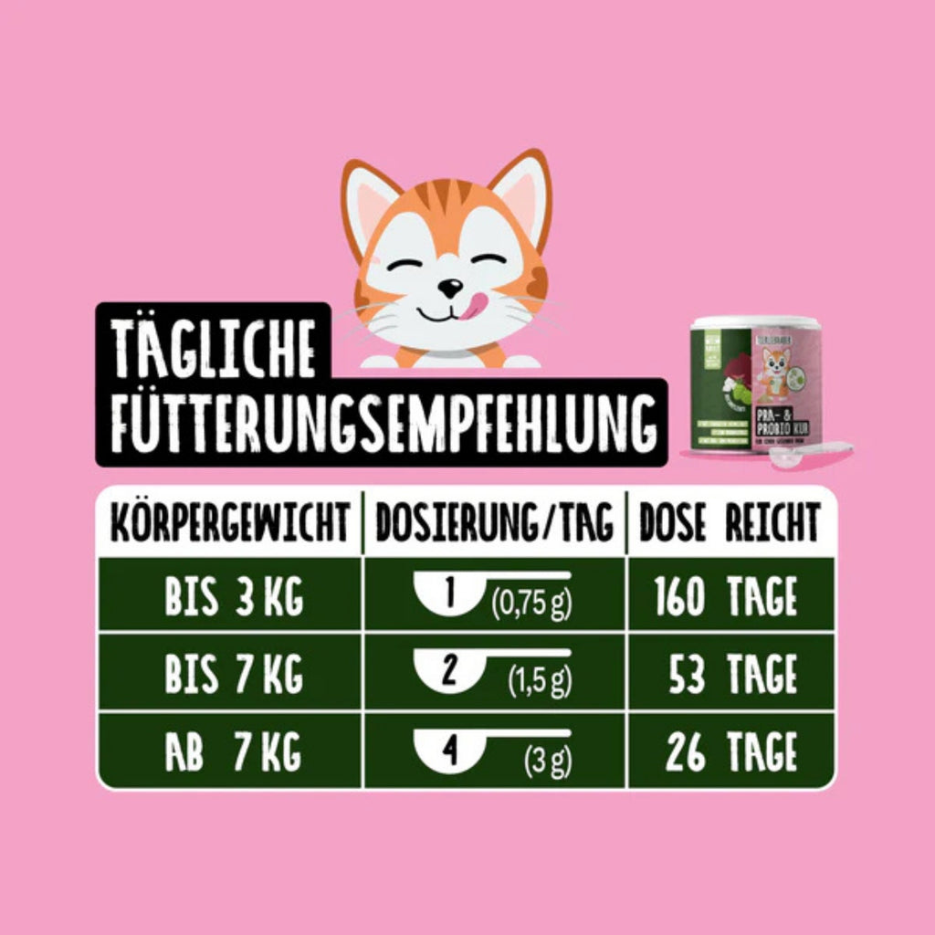33484TLP-K4 – Bild 2
