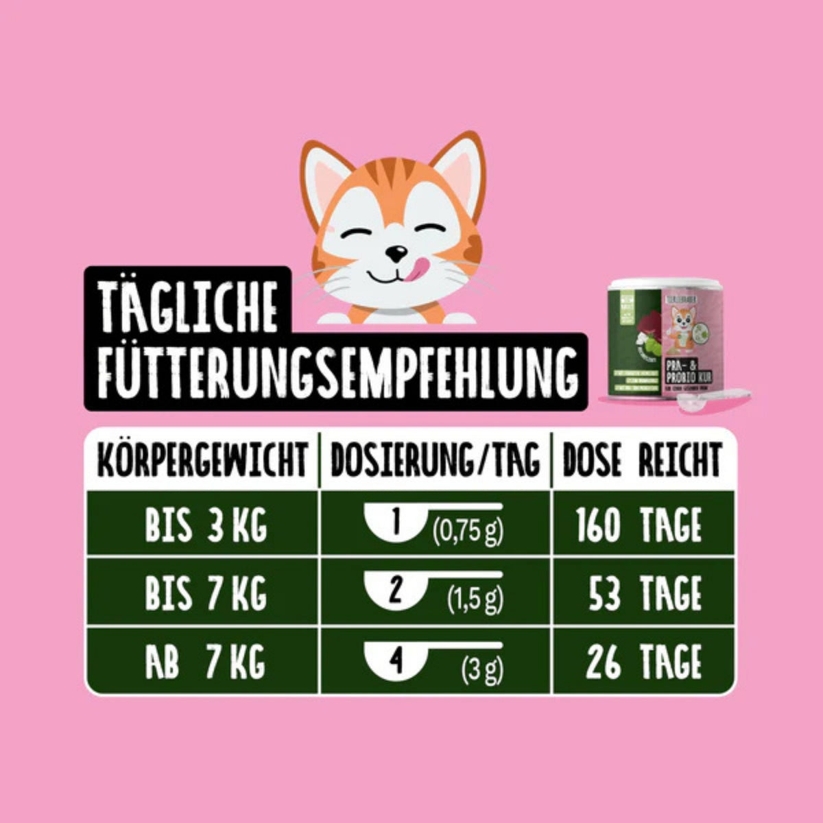 33484TLP-K4 – Bild 2