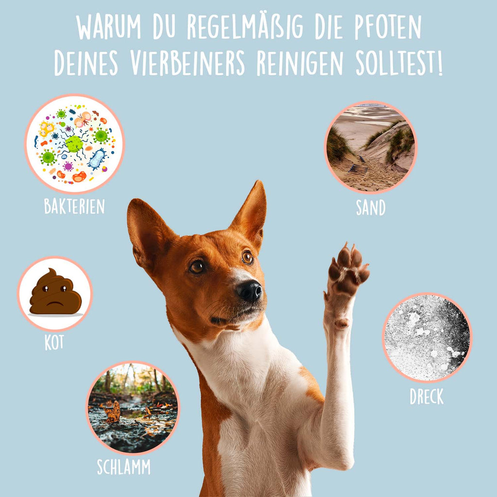 33492TLP – Bild 1