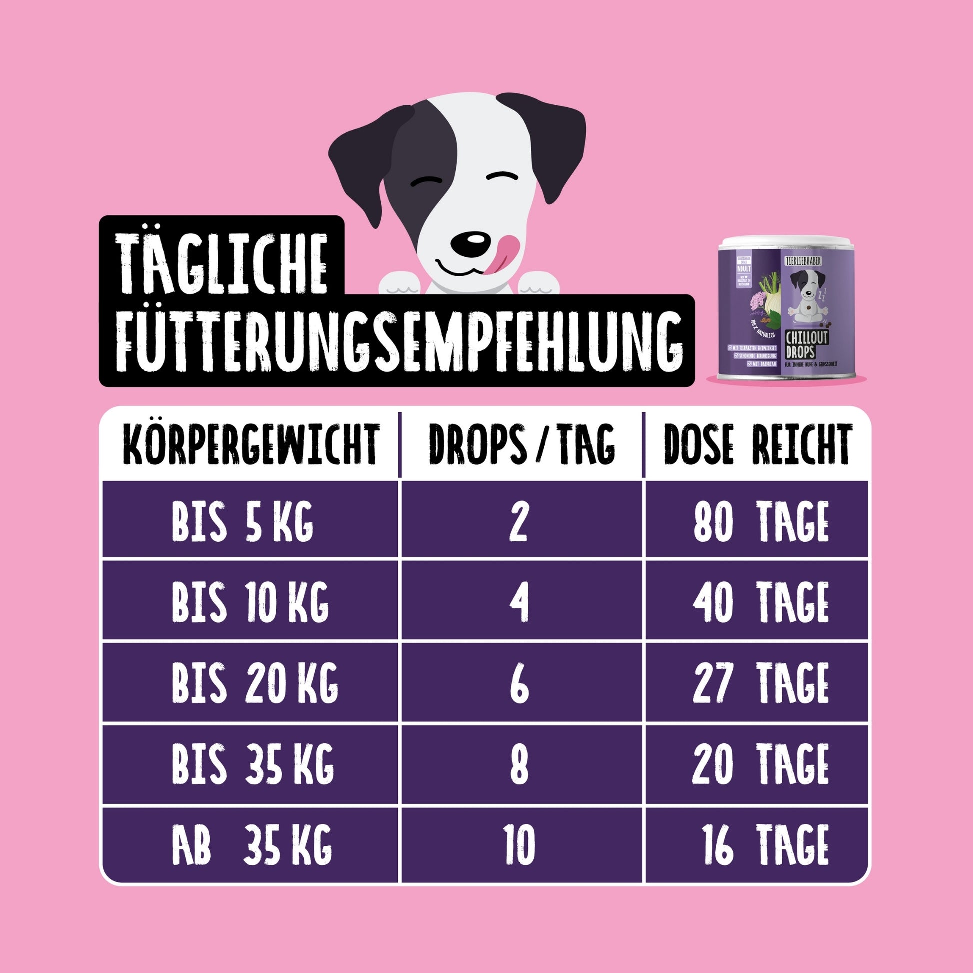 33571 – Bild 3